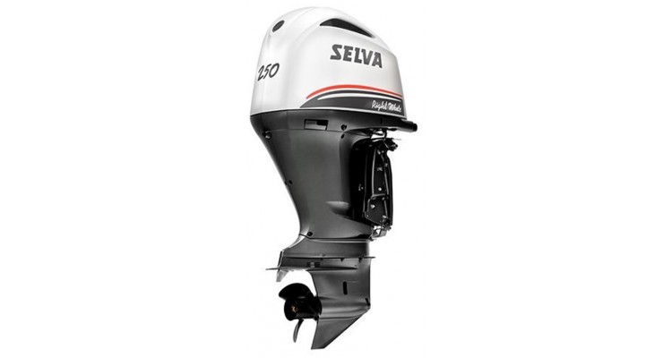 SELVA Right Whale E.F.I. 250 E.DW.UL.PT.